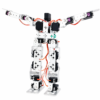 17 DOF  Humanoid DIY Bipedal Robot Kit without Servo Motors